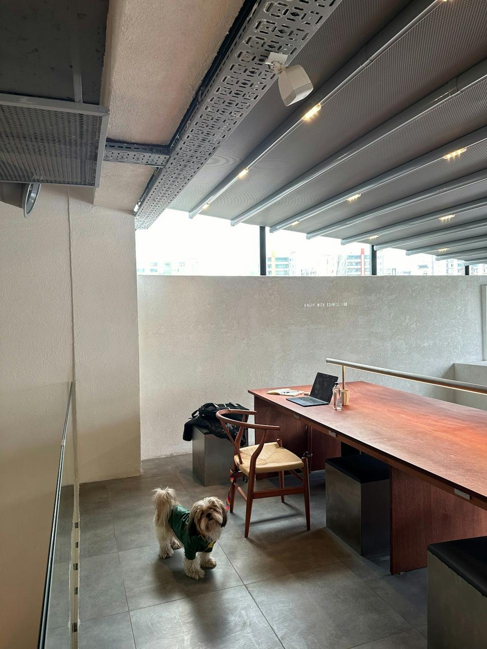 Tech Startup Office