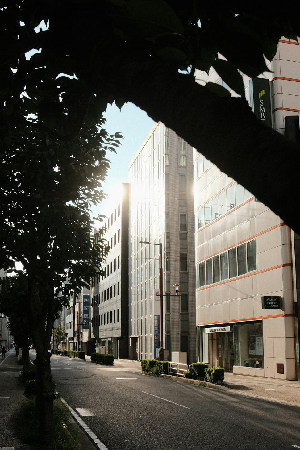 Commercial Architecture Project