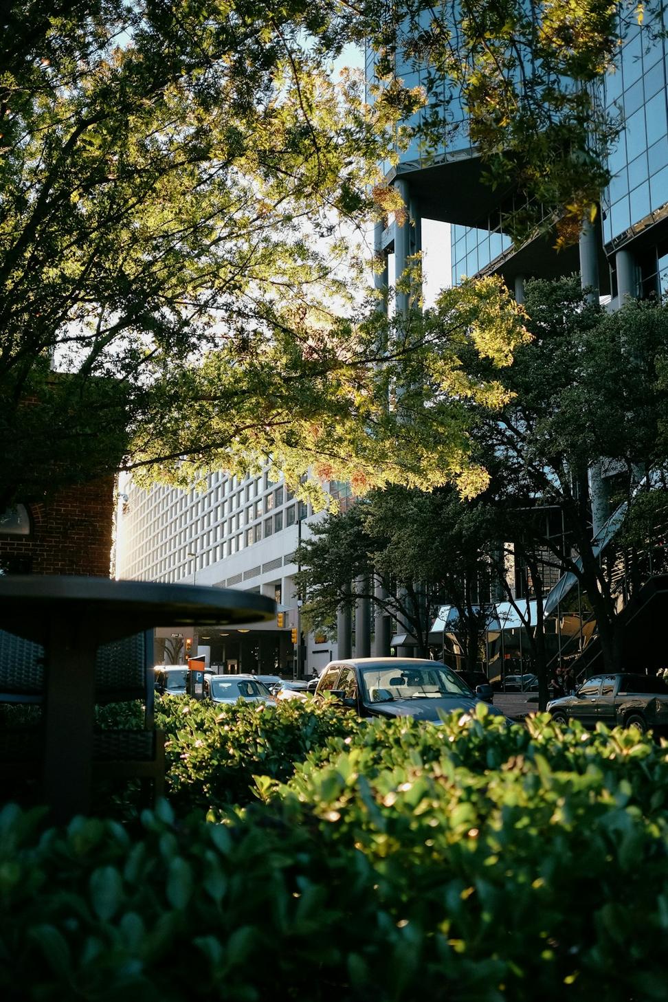 Urban Design