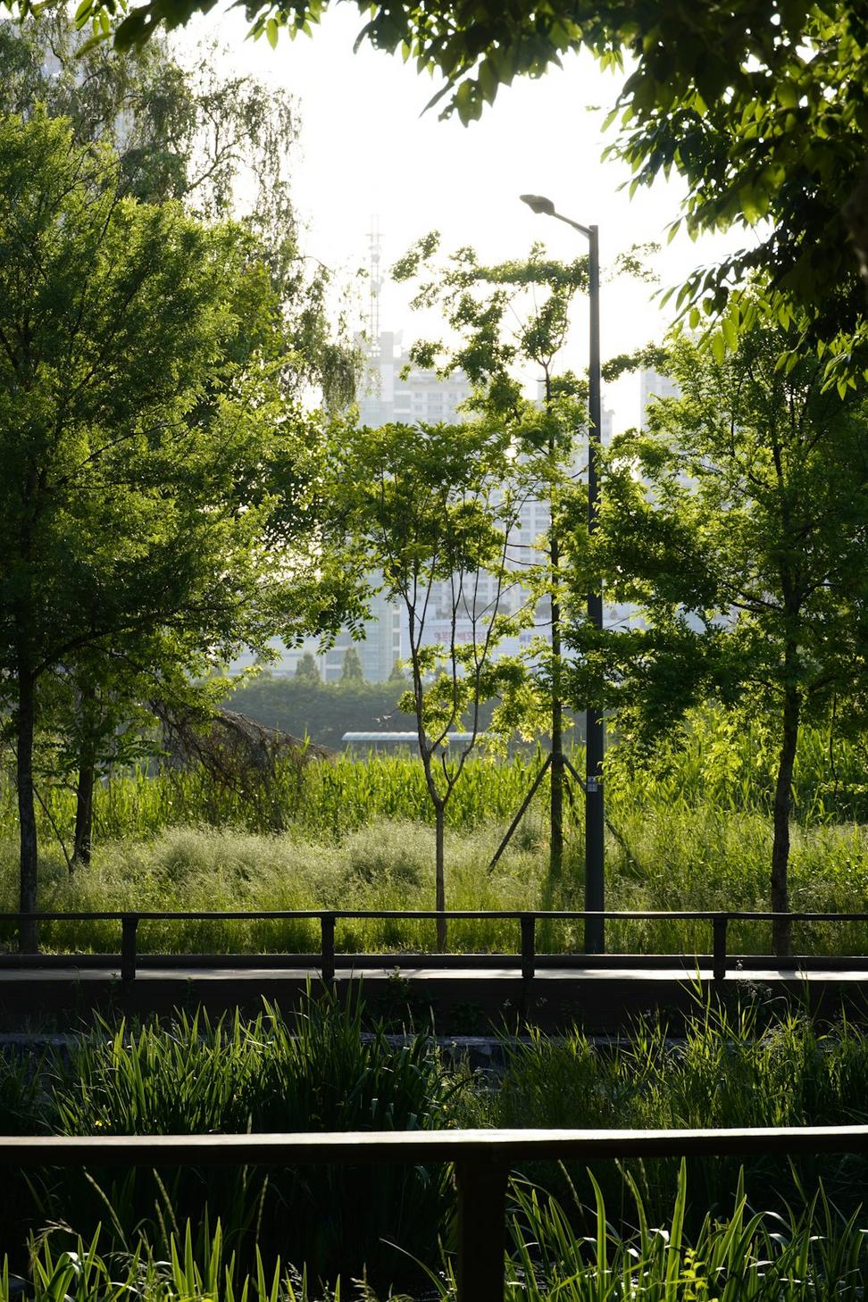 Fraser Street Greenway
